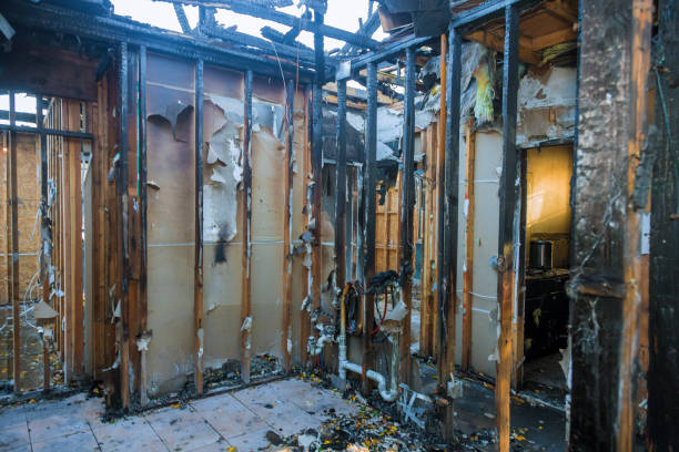 Professional Smoke Damage Removal technician working in Duluth, GA